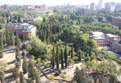 Vista general del Arboreto